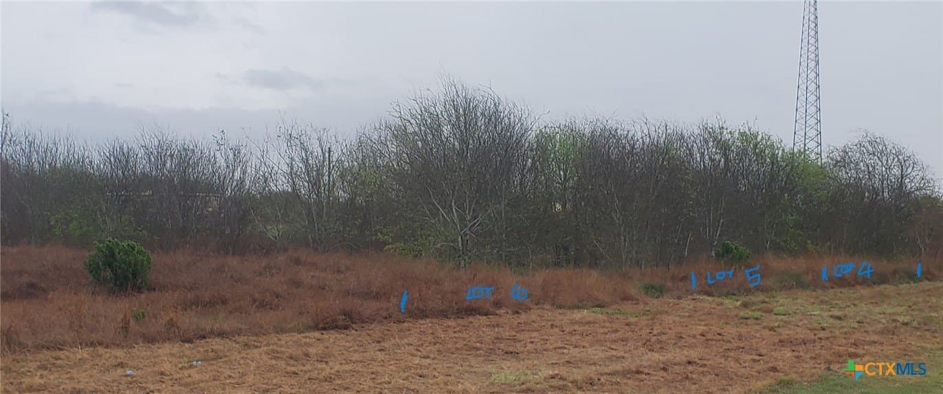 0.48 acres in Calhoun County - photo 3