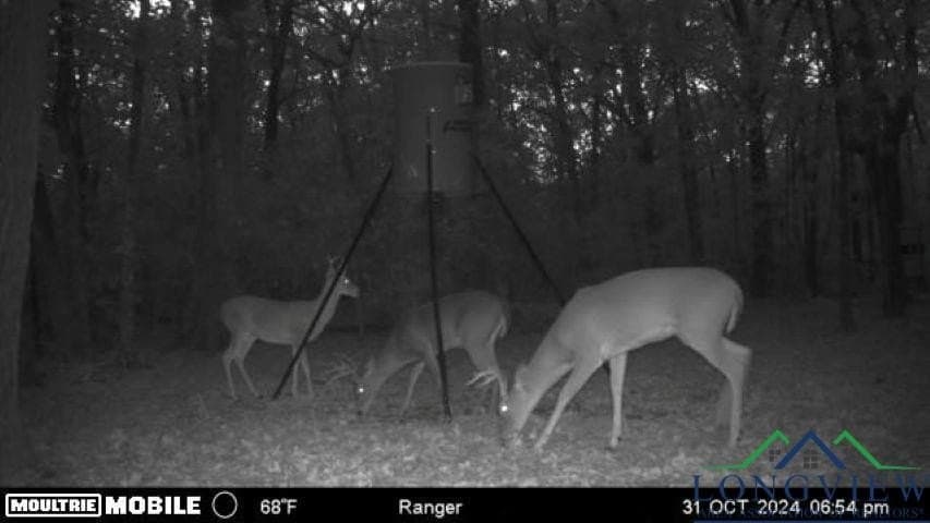 44.24 acres in Red River County - photo 3