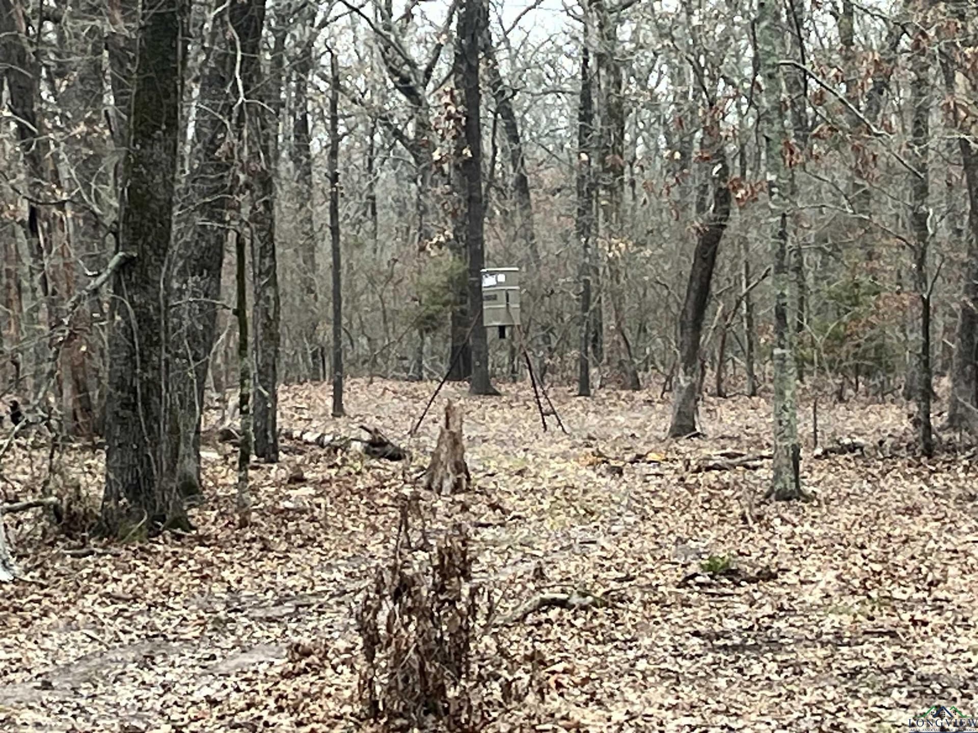 44.24 acres in Red River County - photo 2