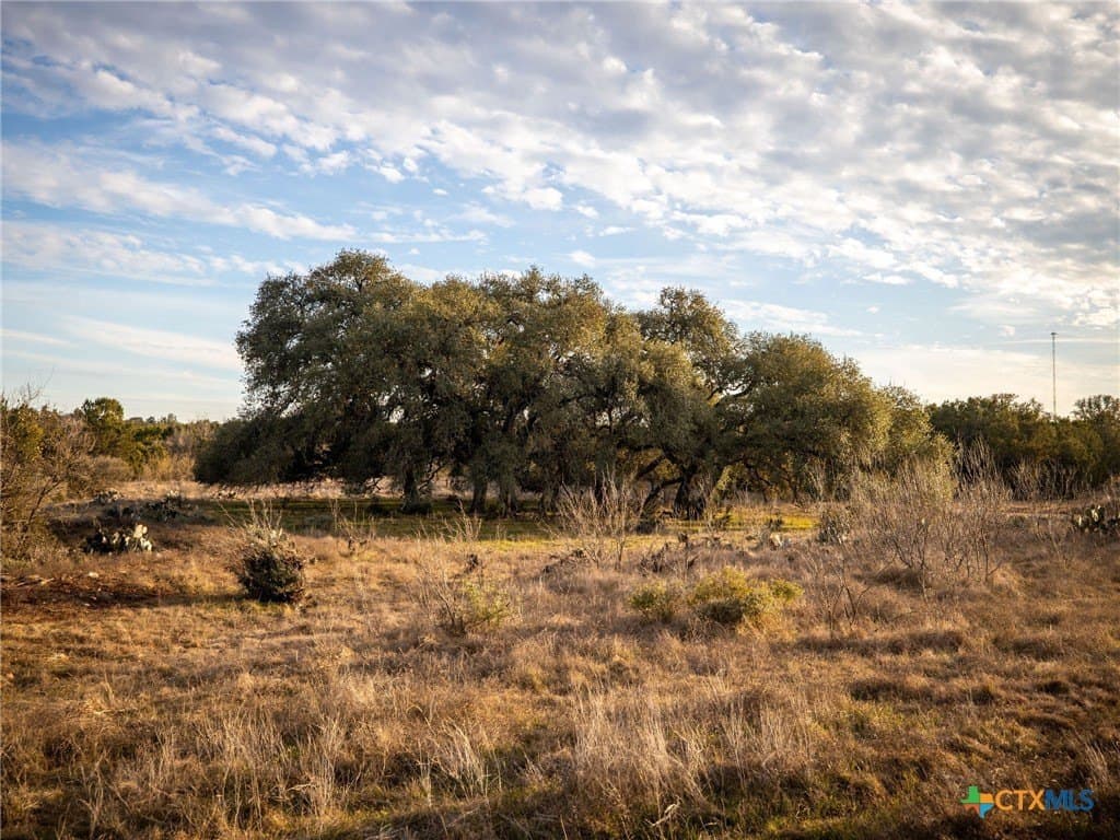50 acres in Comal County - photo 38