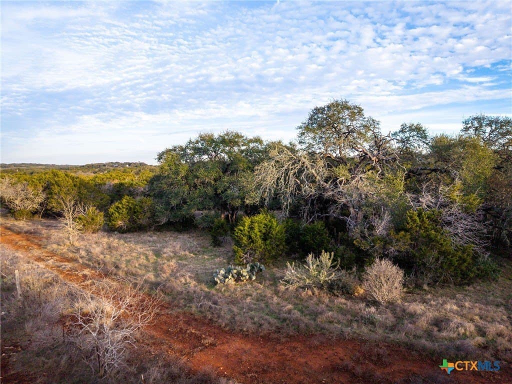 50 acres in Comal County - photo 41