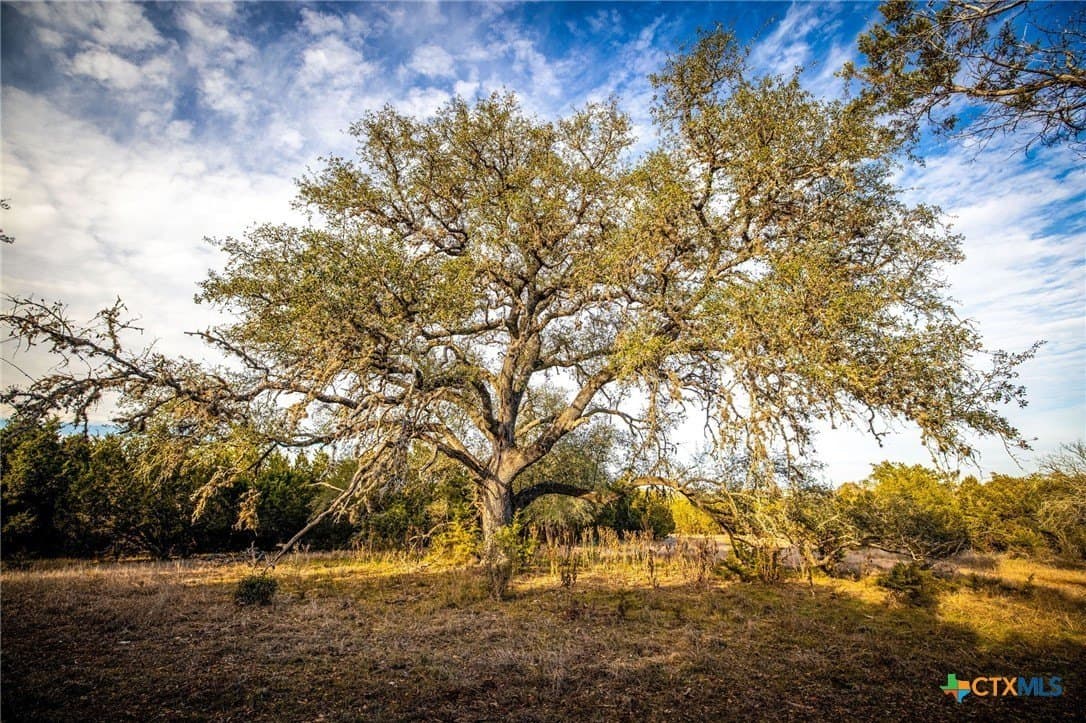 50 acres in Comal County - photo 25