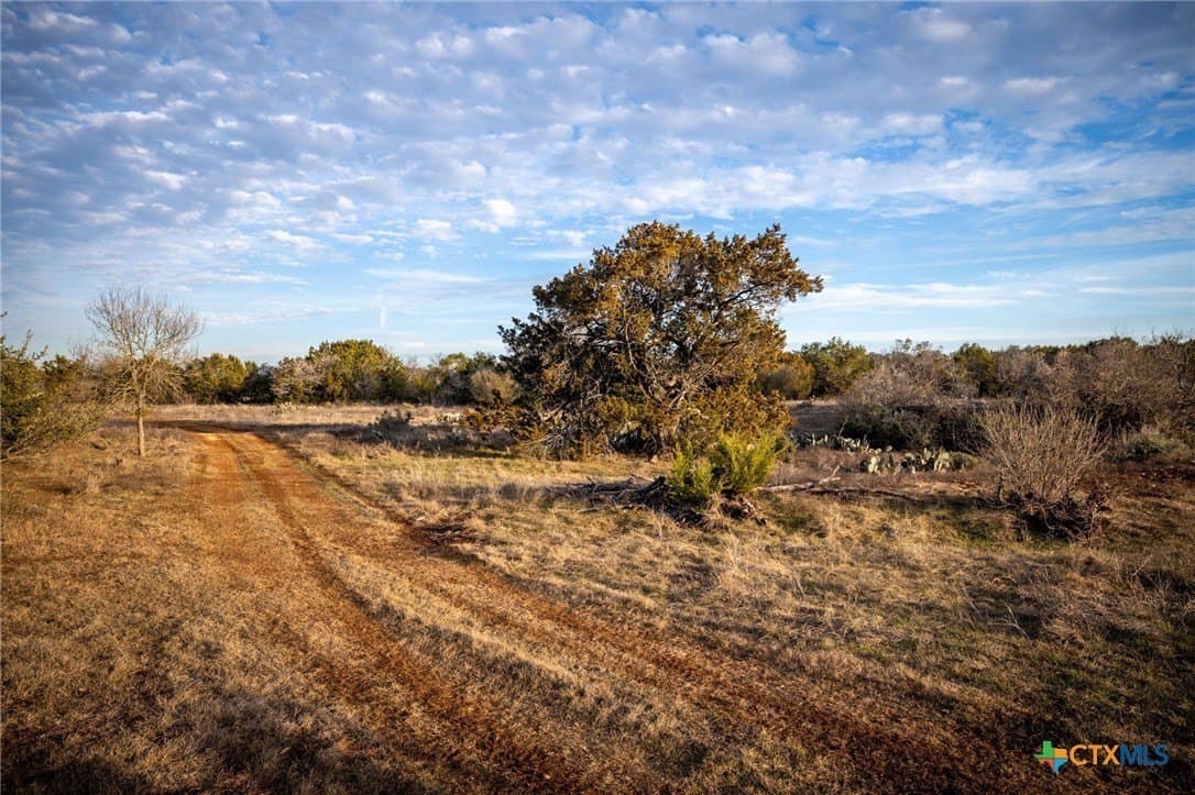 50 acres in Comal County - photo 37