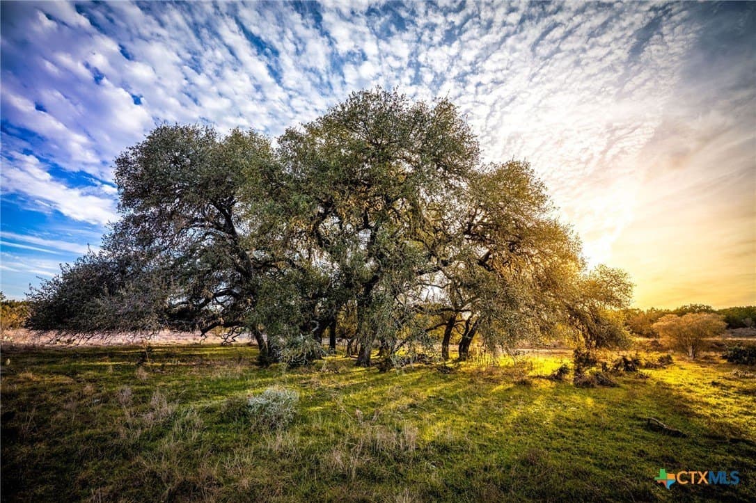 50 acres in Comal County - photo 7