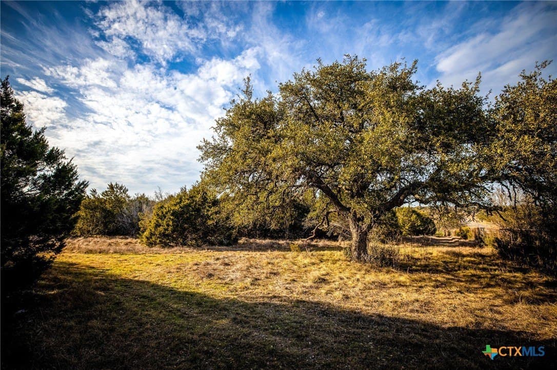 50 acres in Comal County - photo 23