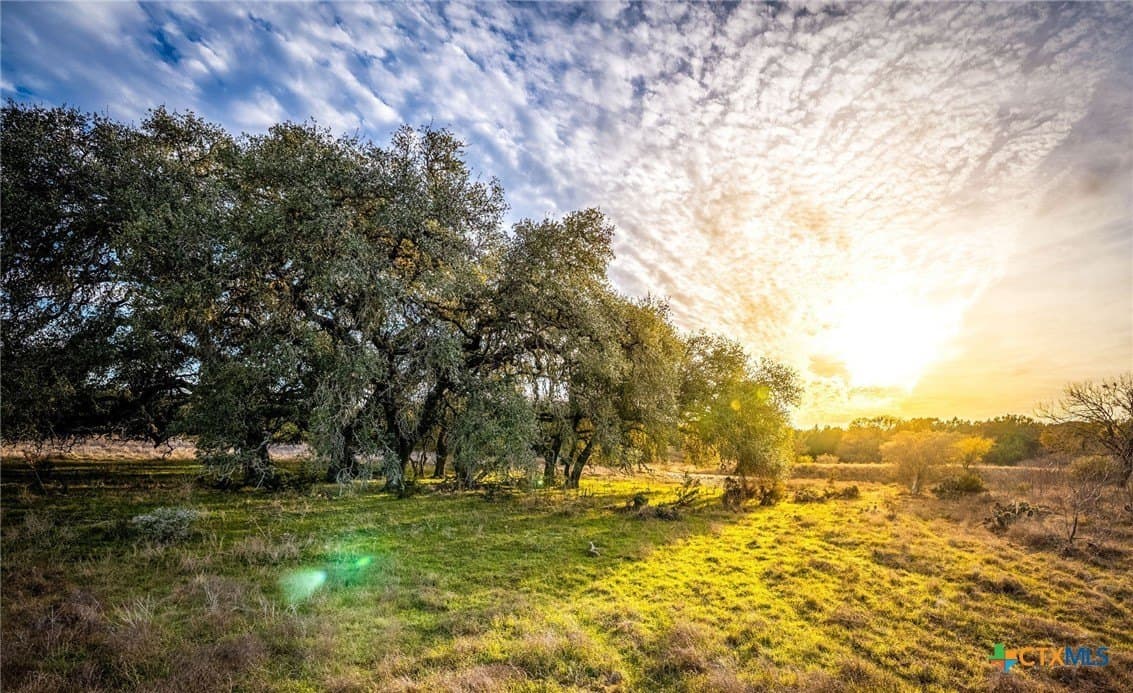50 acres in Comal County - photo 33