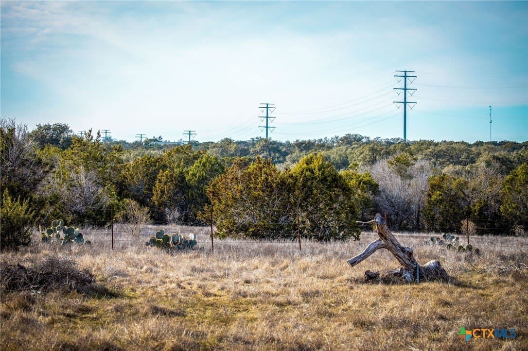 50 acres in Comal County - photo 17