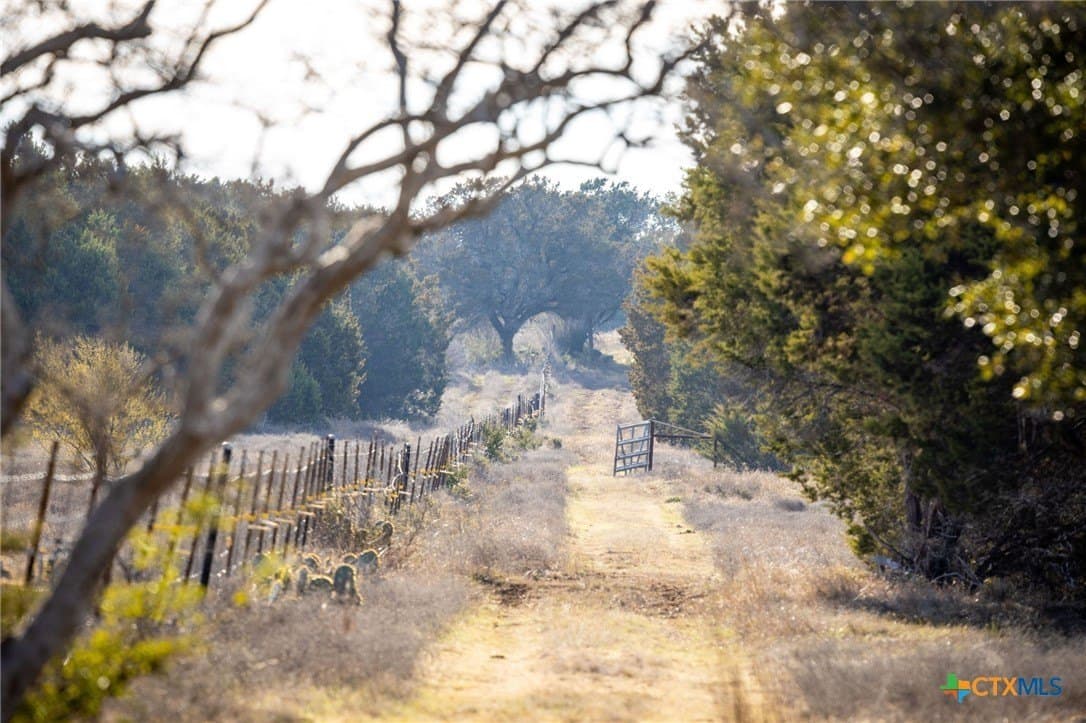 50 acres in Comal County - photo 24