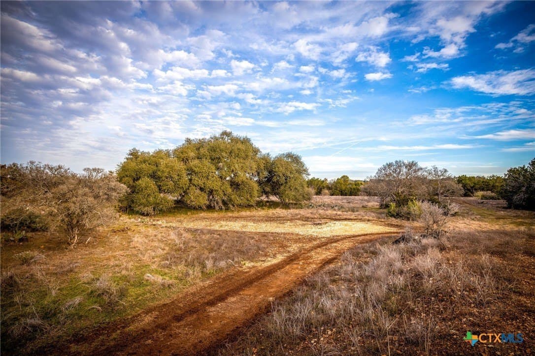 50 acres in Comal County - photo 30