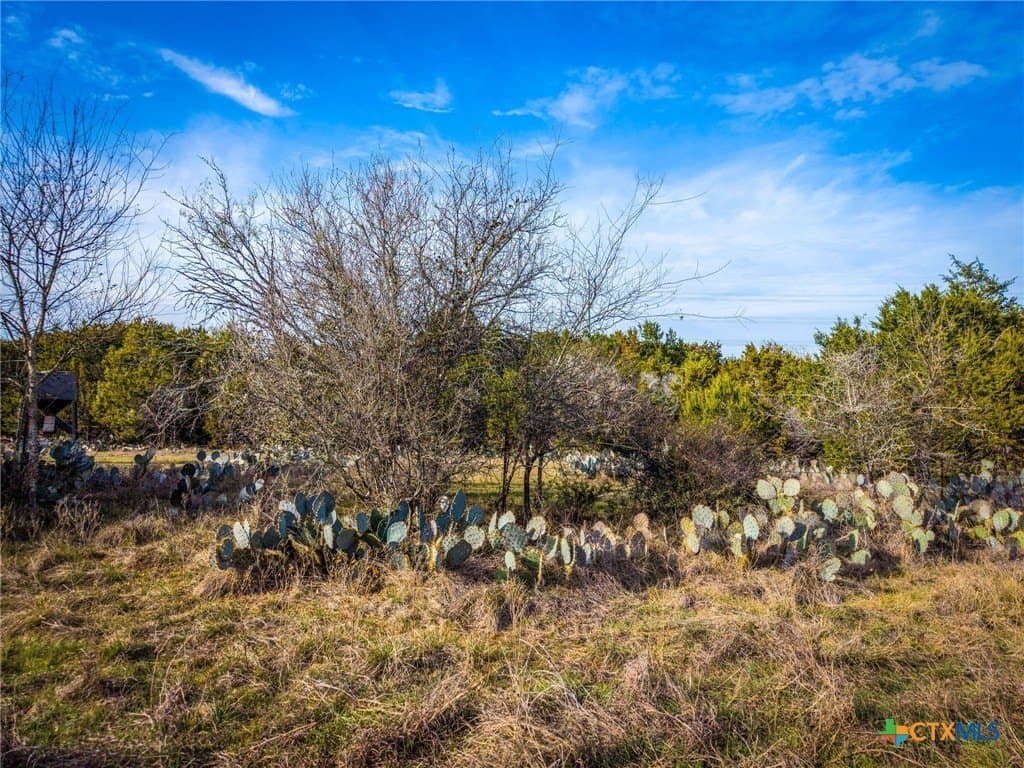 50 acres in Comal County - photo 15