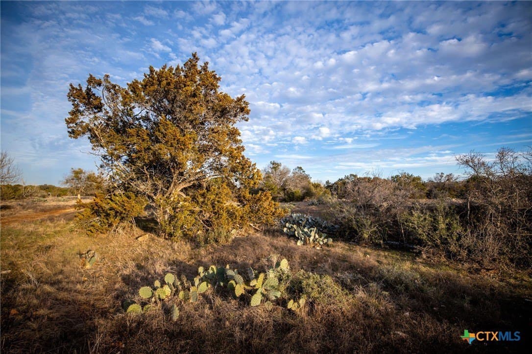 50 acres in Comal County - photo 34