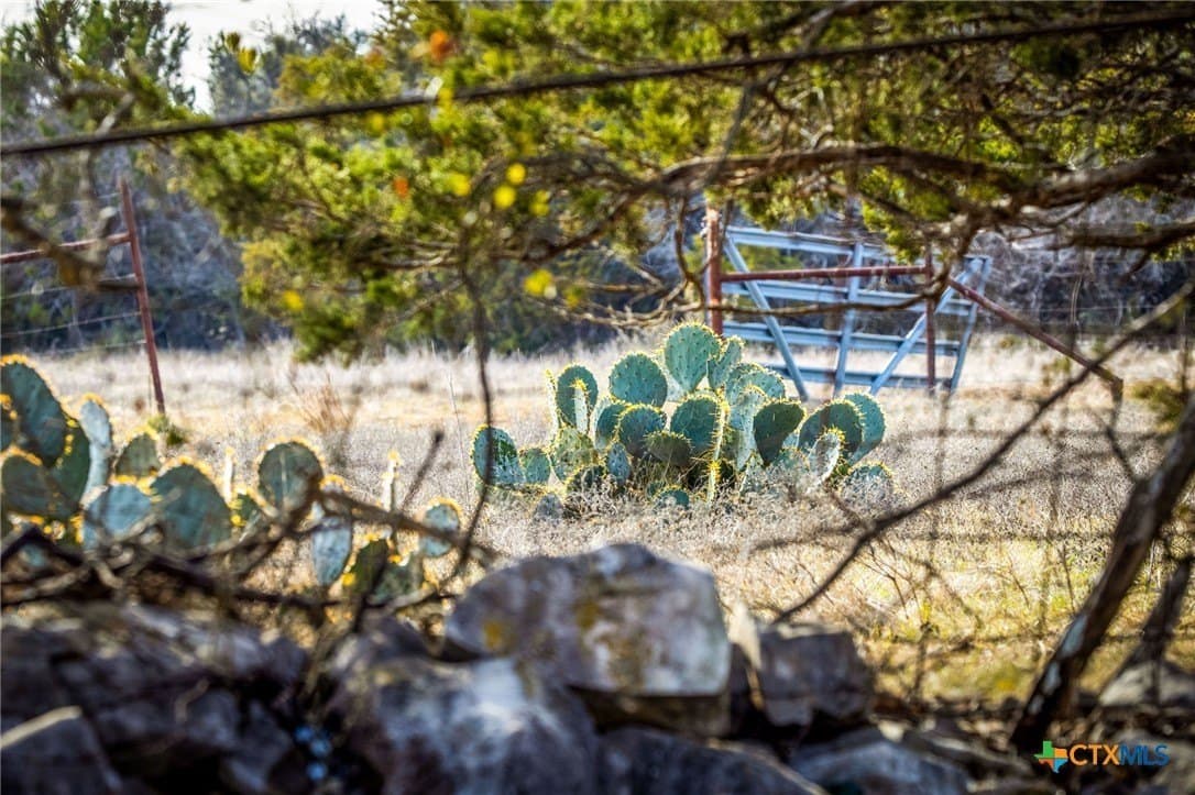50 acres in Comal County - photo 8