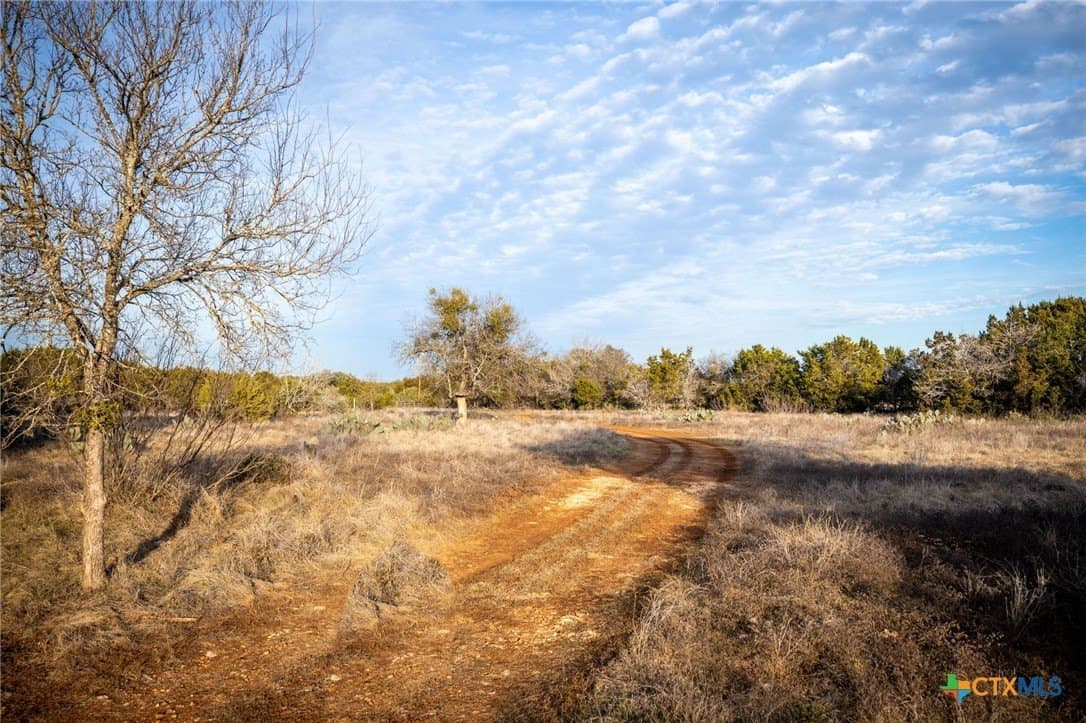 50 acres in Comal County - photo 35
