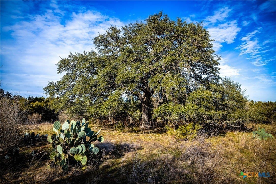50 acres in Comal County - photo 20