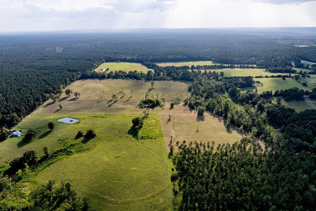 80 acres in HOUSTON County - photo 8