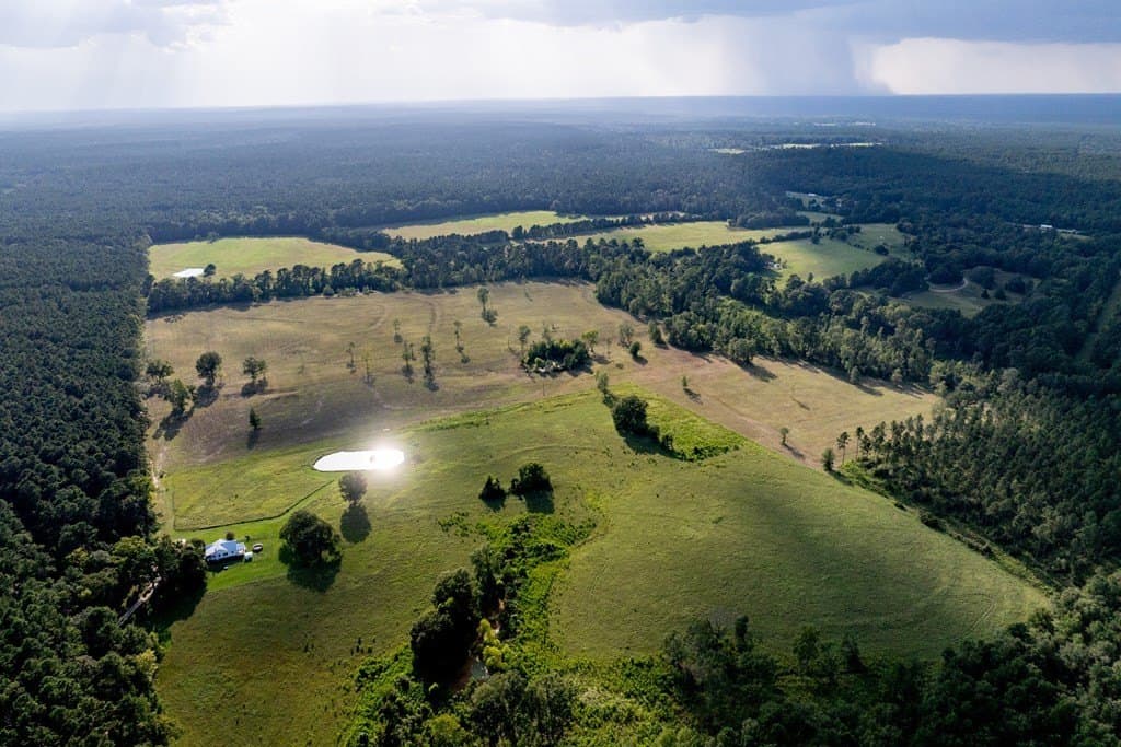 80 acres in HOUSTON County - photo 6
