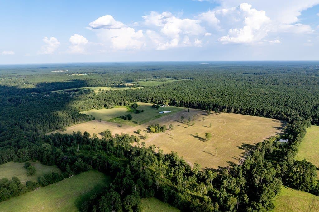 80 acres in HOUSTON County - photo 15