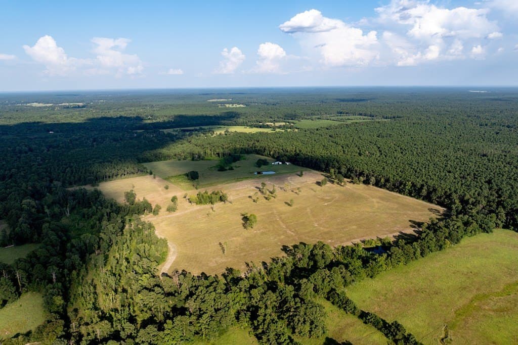 80 acres in HOUSTON County - photo 17