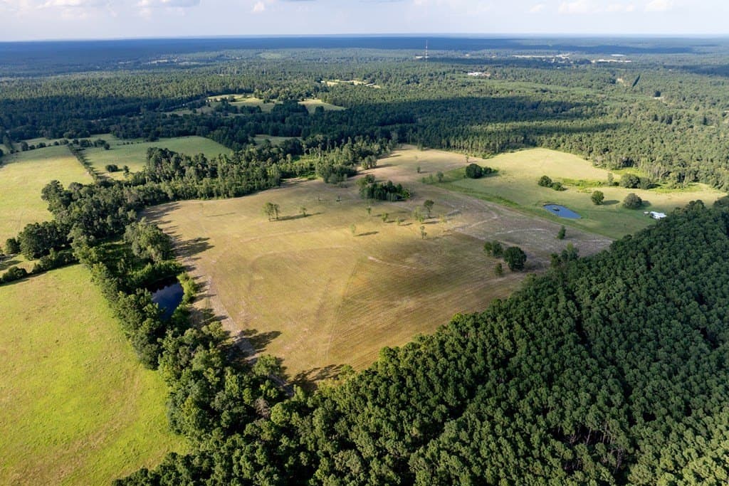 80 acres in HOUSTON County - photo 2