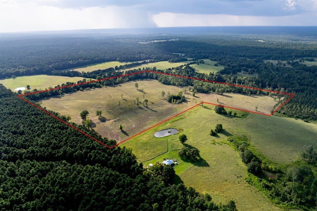 80 acres in HOUSTON County - photo 4