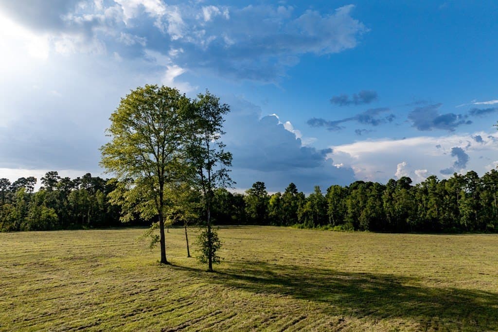 80 acres in HOUSTON County - photo 22