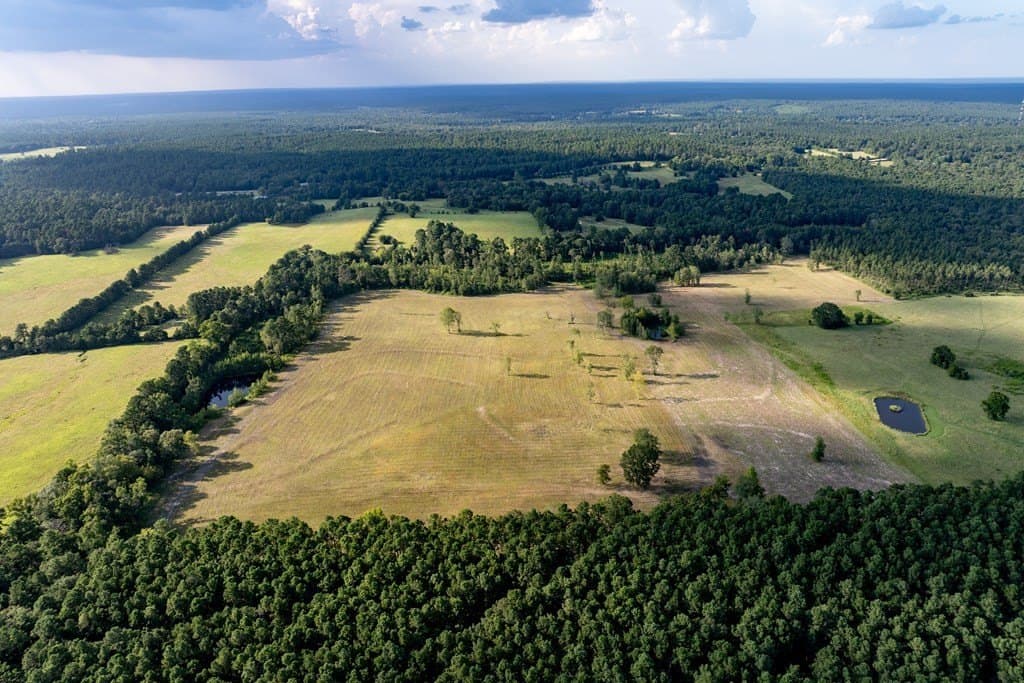80 acres in HOUSTON County - photo 3