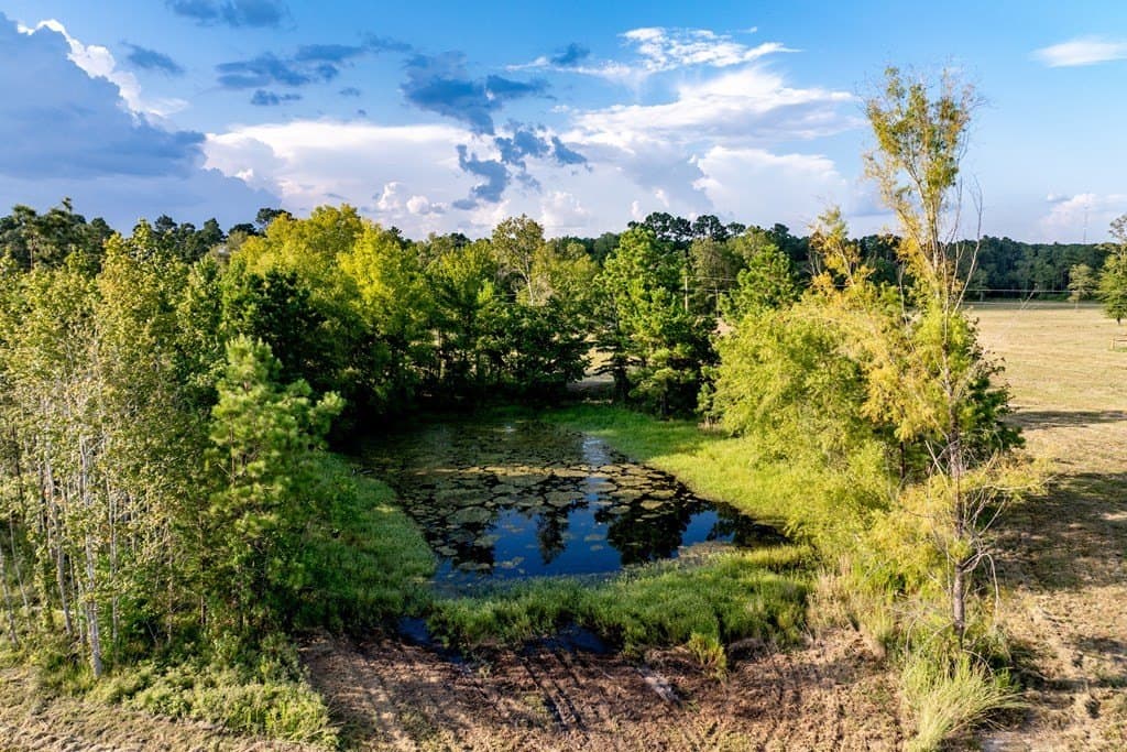 80 acres in HOUSTON County - photo 20