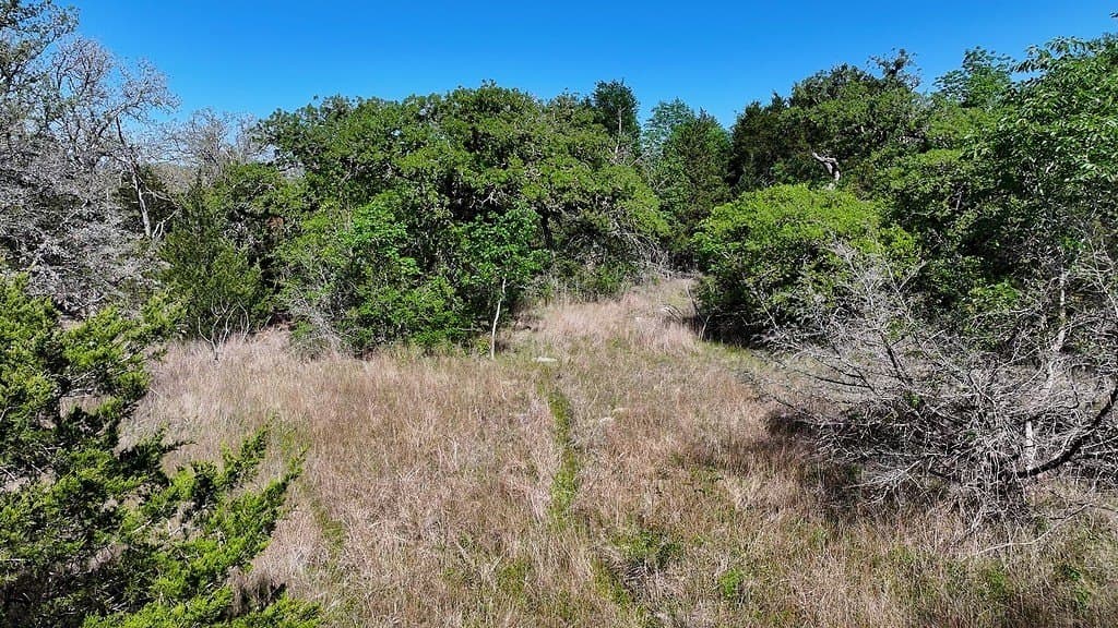 141.67 acres in Fayette County - photo 9