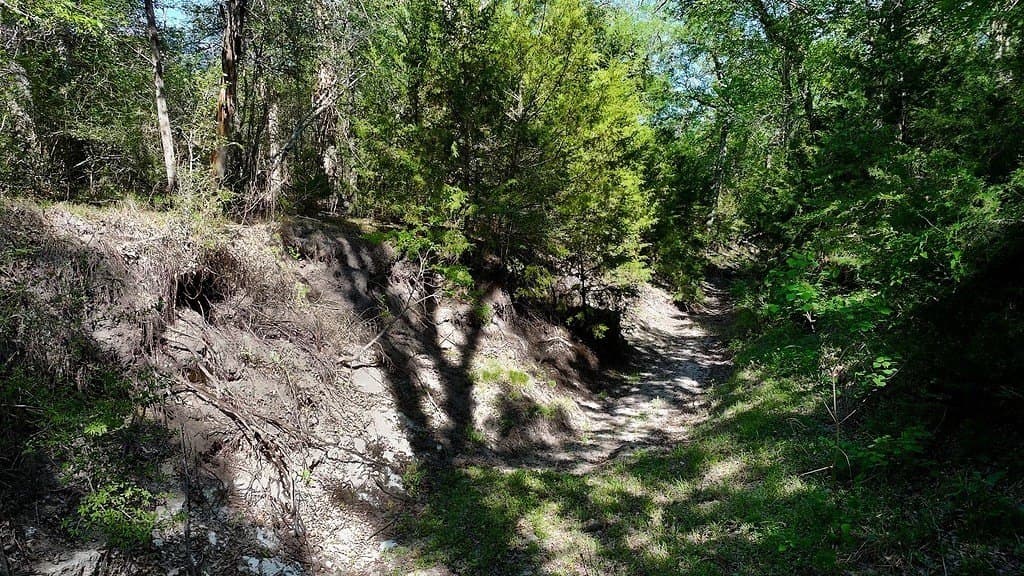 141.67 acres in Fayette County - photo 15