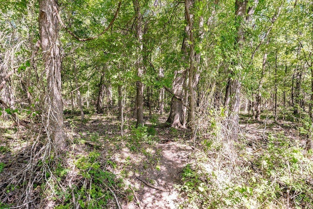 141.67 acres in Fayette County - photo 4