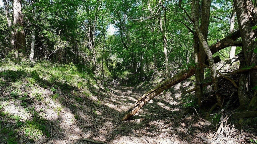 141.67 acres in Fayette County - photo 16