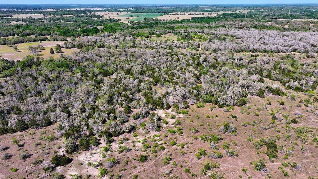141.67 acres in Fayette County - photo 12