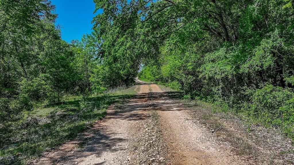 141.67 acres in Fayette County - photo 26
