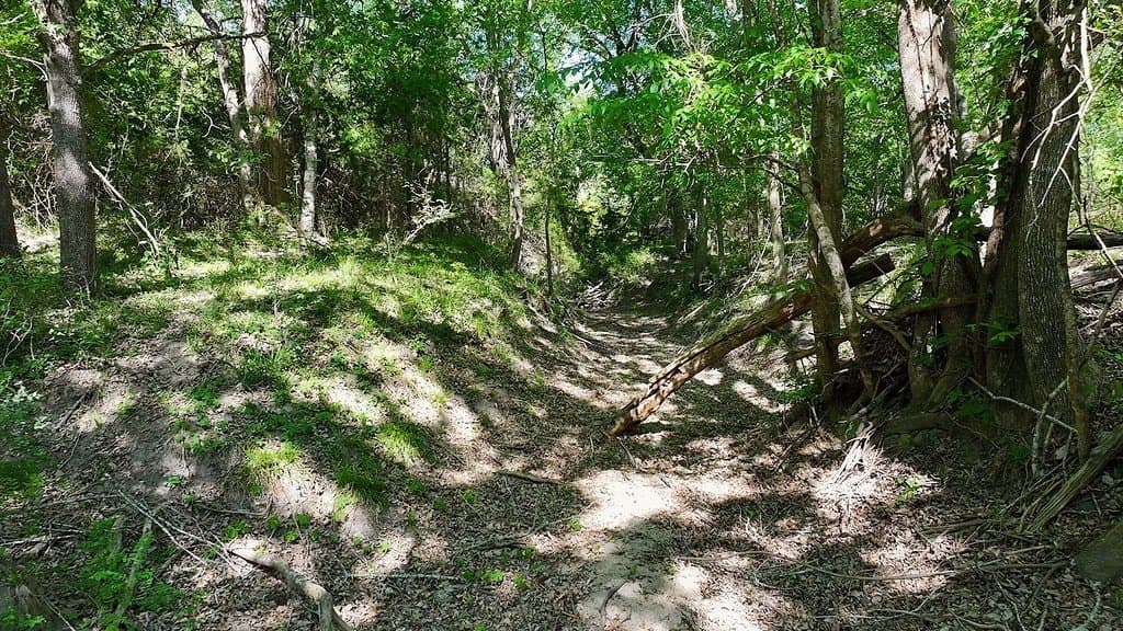 141.67 acres in Fayette County - photo 17