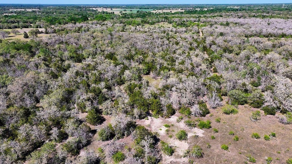 141.67 acres in Fayette County - photo 11