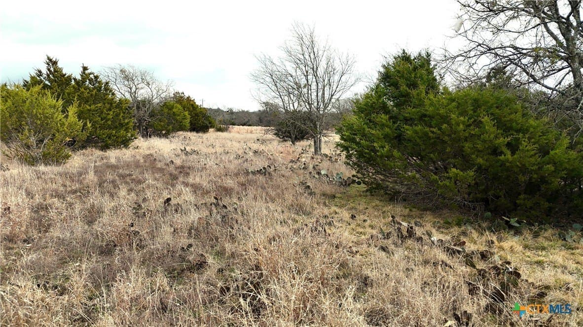 5.25 acres in Lampasas County - photo 6