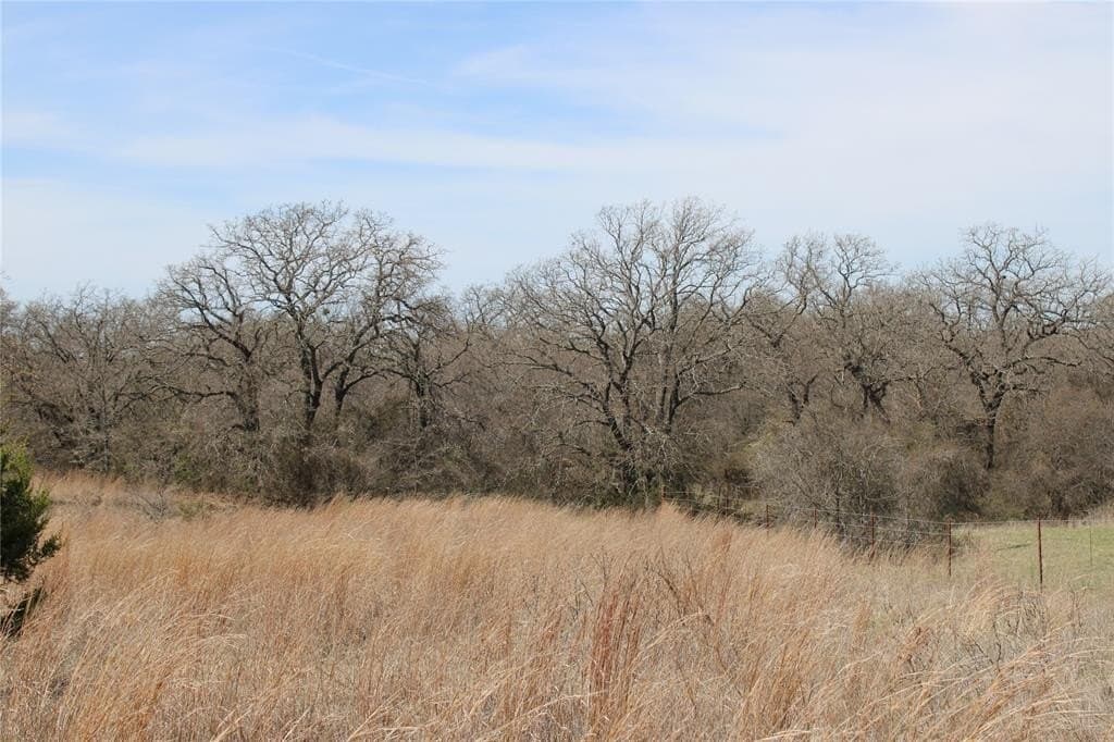 13.5 acres in Jack County - photo 8