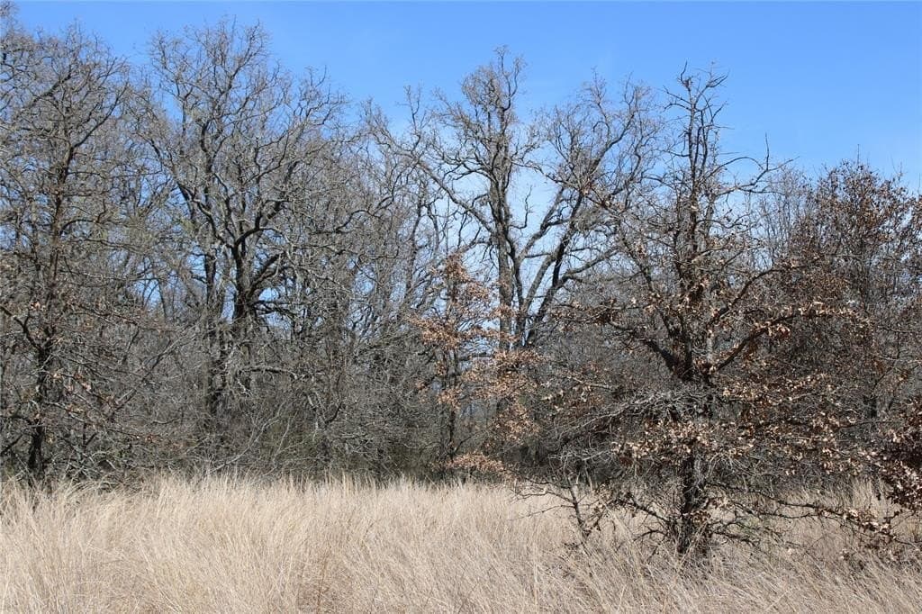 13.5 acres in Jack County - photo 5