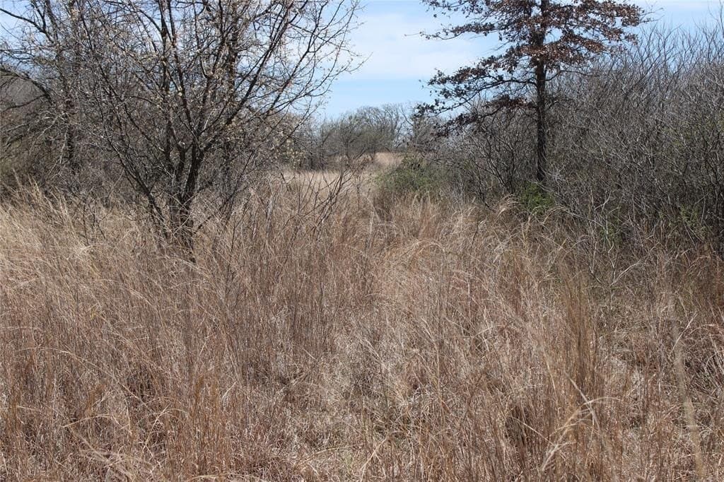 13.5 acres in Jack County - photo 4