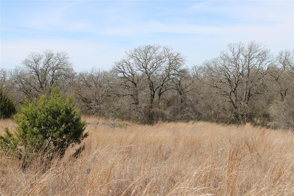 13.5 acres in Jack County - photo 7