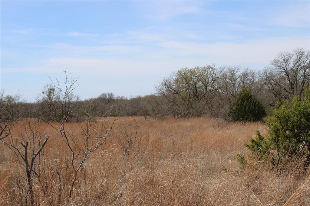 13.5 acres in Jack County - photo 6