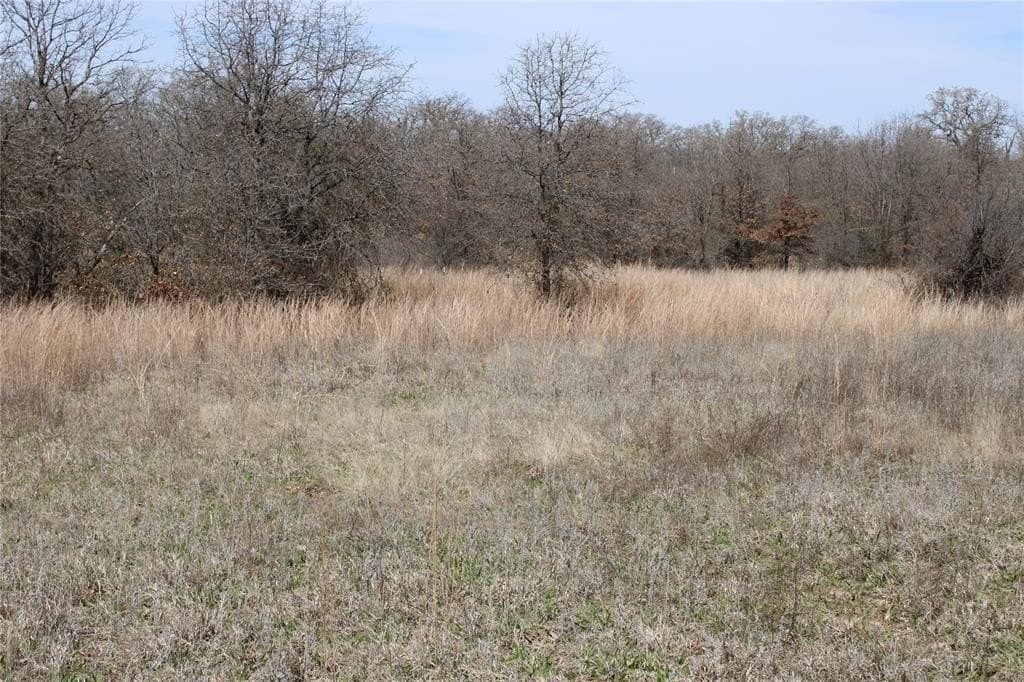 13.5 acres in Jack County - photo 9