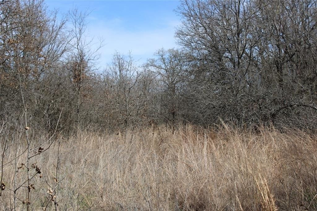 13.5 acres in Jack County - photo 3