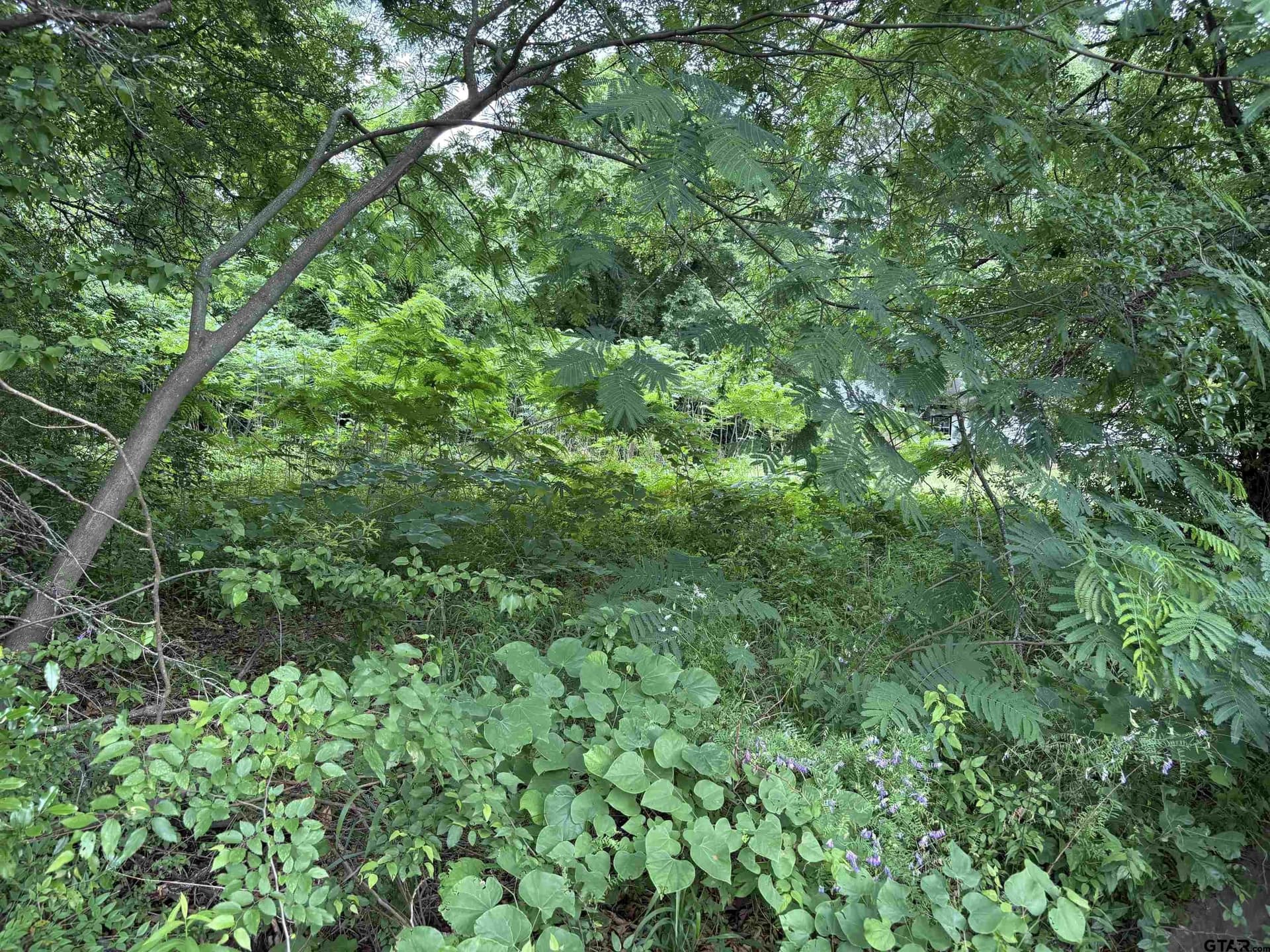 0 acres in Smith County - photo 9