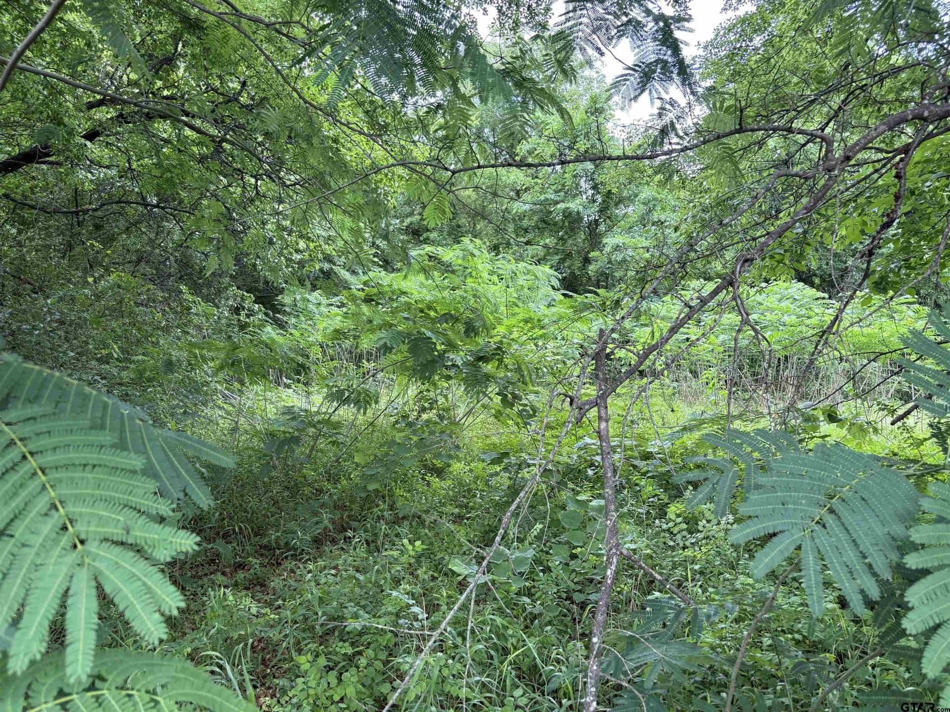 0 acres in Smith County - photo 8