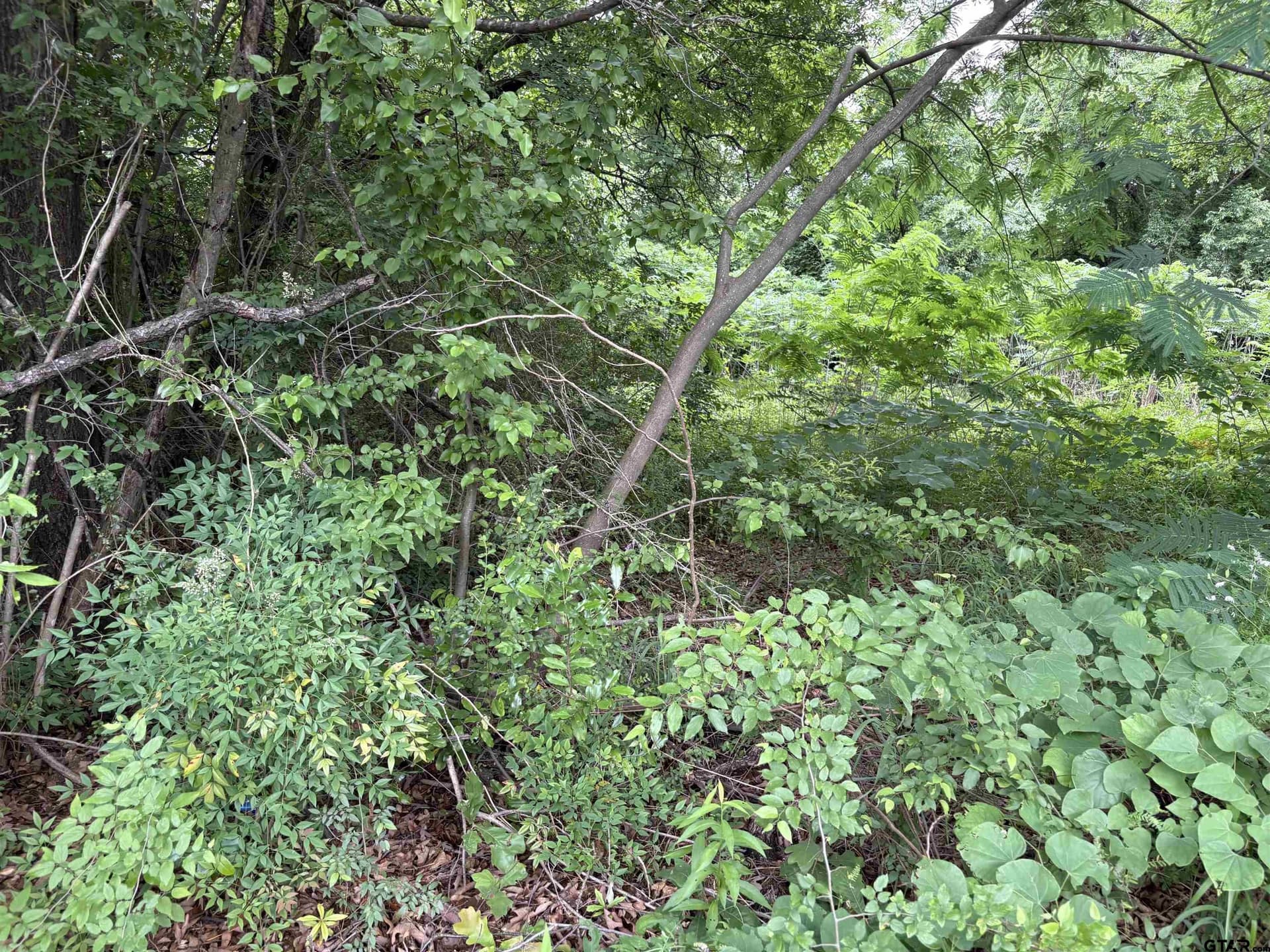 0 acres in Smith County - photo 3