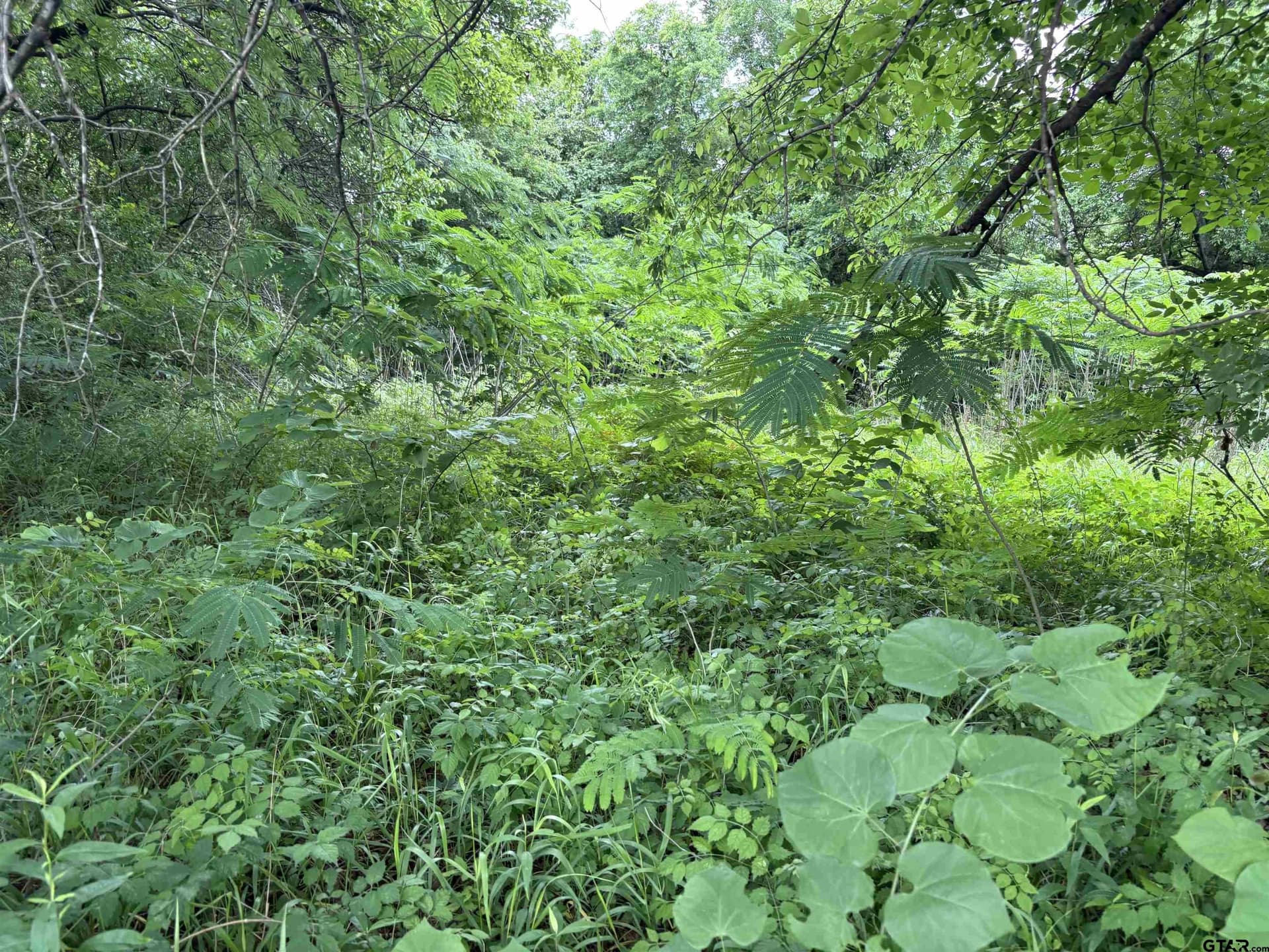 0 acres in Smith County - photo 5