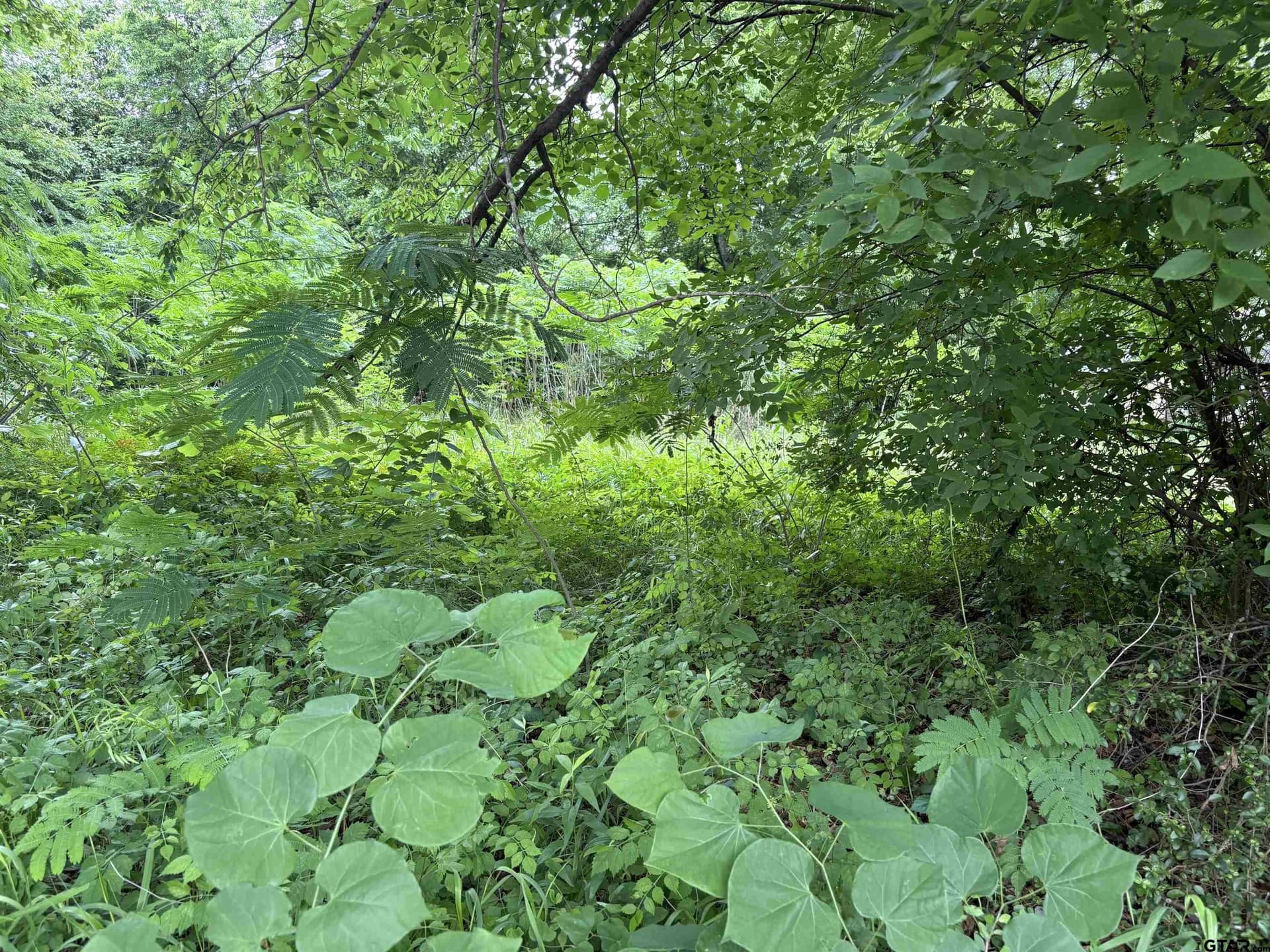 0 acres in Smith County - photo 4