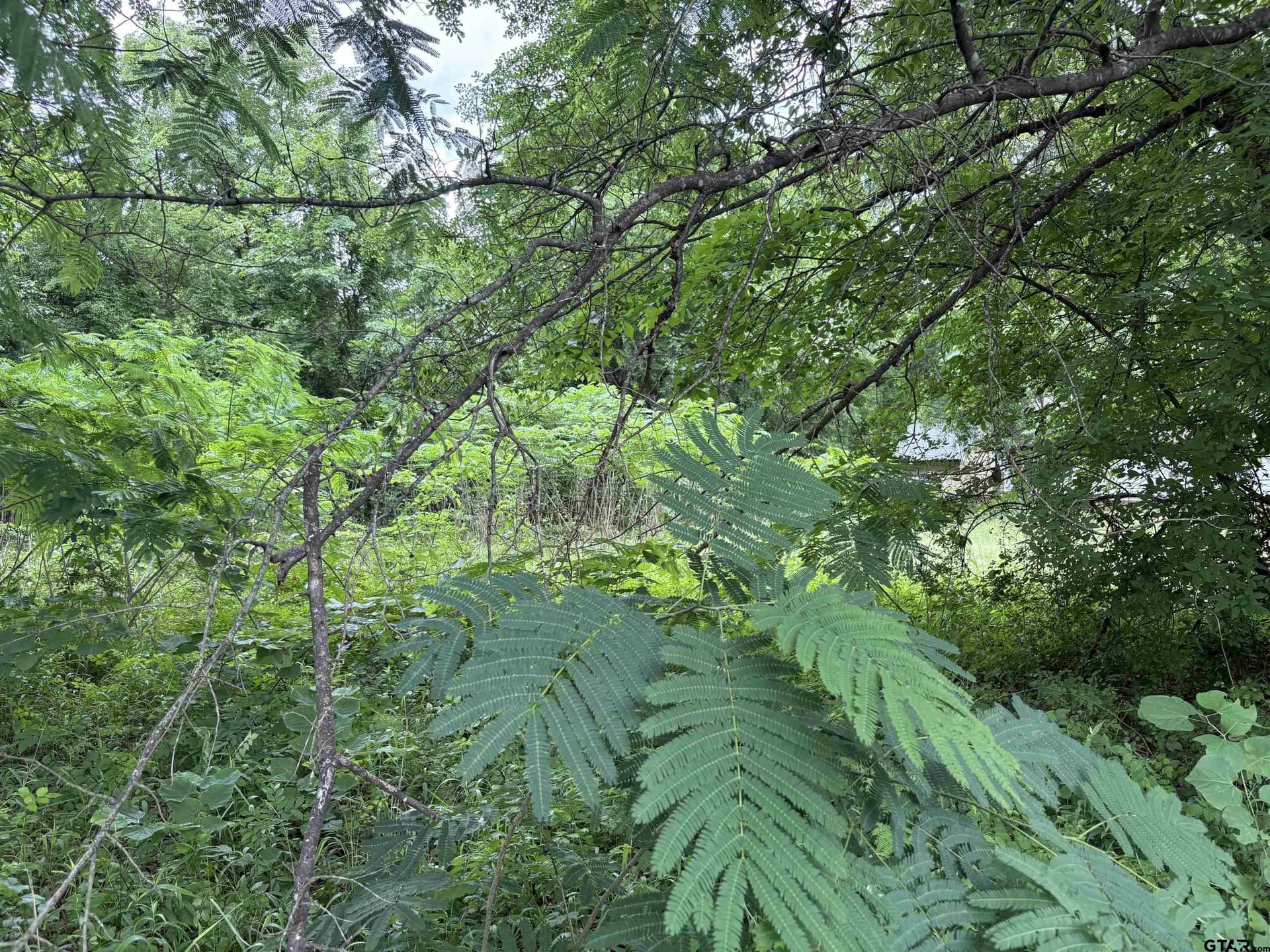 0 acres in Smith County - photo 7