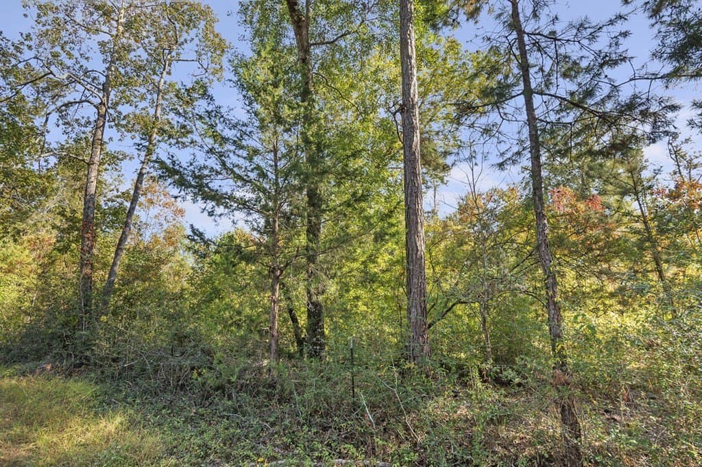 12.88 acres in Texas County - photo 4